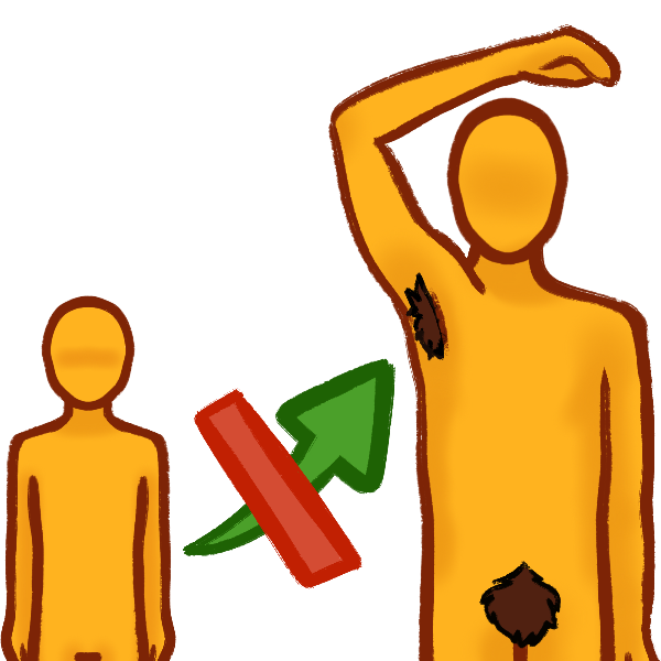 a small featureless person with a green arrow pointing from them up to an adult person lifting one arm above their head, the adult has brown axillary and pubic hair. There is a red slash through the arrow to convey that the transition was incomplete.